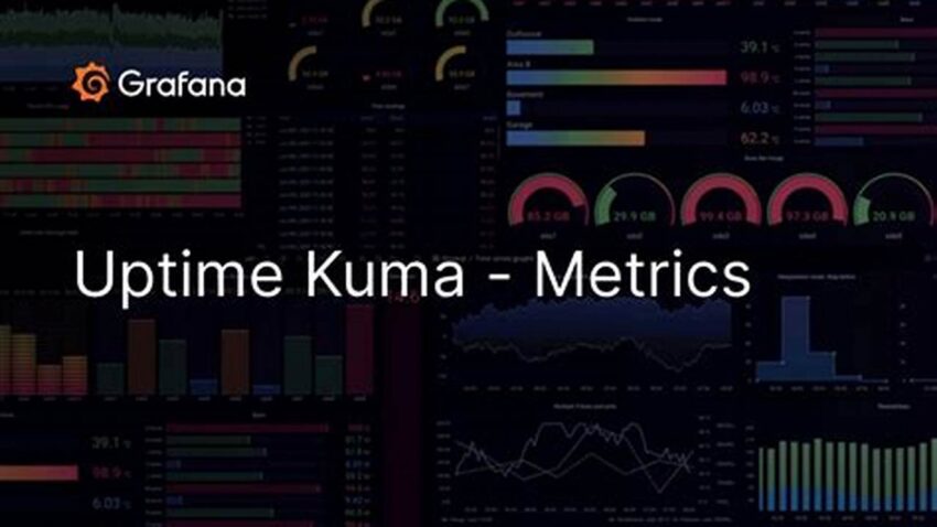Integrating Plausible Analytics with Uptime Kuma