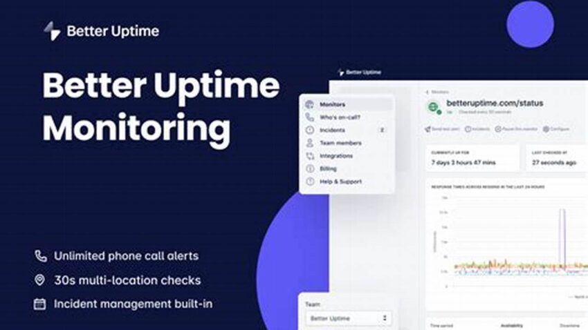 Website Uptime Checker, Monitor Availability Instantly