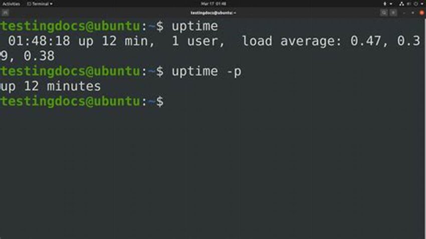 Mastering Linux Uptime, A Sysadmin's Guide