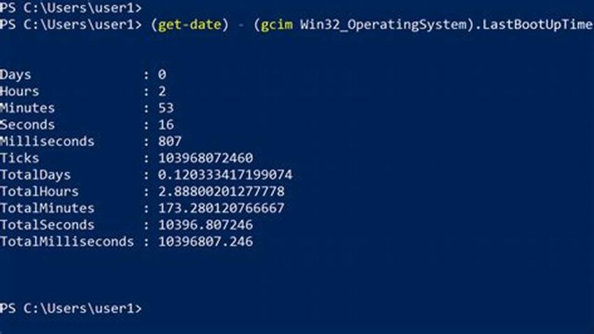 Check Linux Uptime in CMD, Quick & Easy Guide