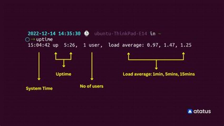 How to Find Linux Server Uptime, Easy Guide