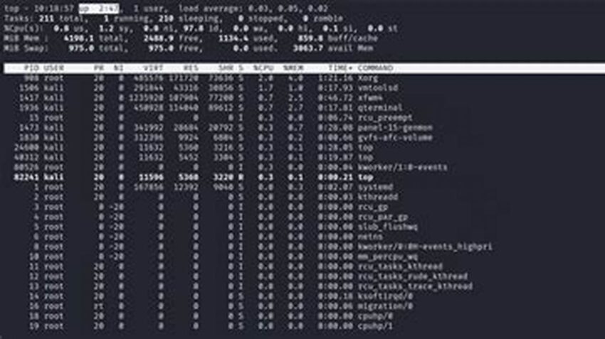 Quickly Check Linux Uptime, Simple Commands