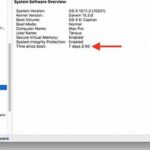 Mac Uptime, Easy Ways to Check in macOS