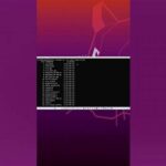Check Linux Uptime, Quick & Easy Methods