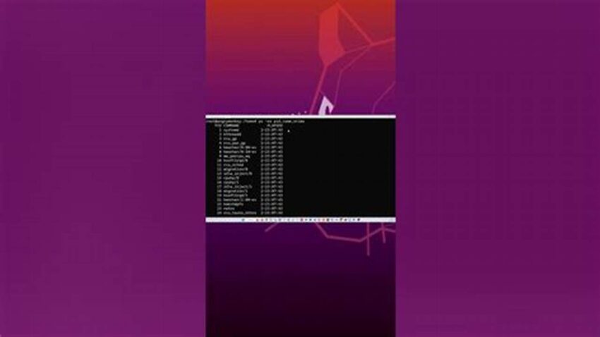 Check Linux Uptime, Quick & Easy Methods