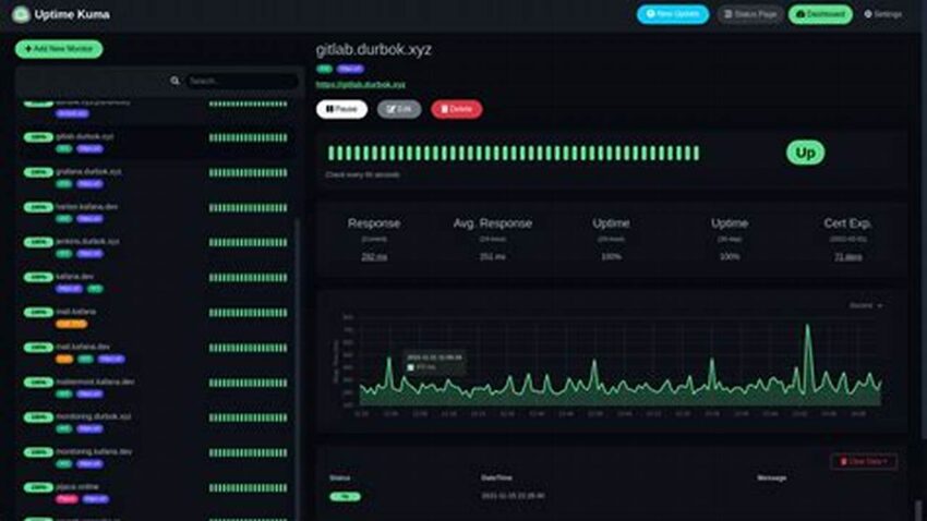 Easy Uptime Kuma Monitoring with Docker Compose