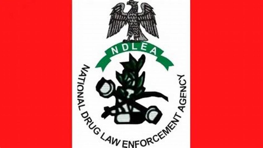 NDLEA Uptime, Ensuring Reliable Access