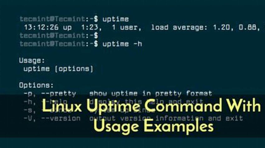 Maximize Linux Uptime, Expert Tips & Tricks