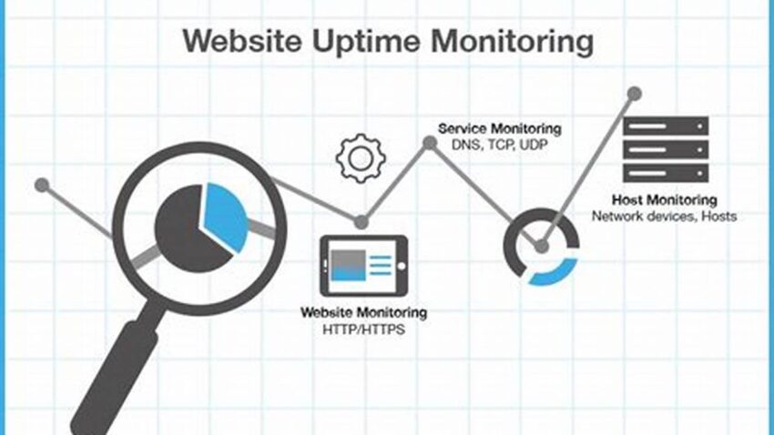 Best Website Uptime Monitoring Software for Peace of Mind